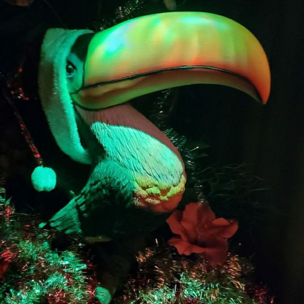 Magnolia