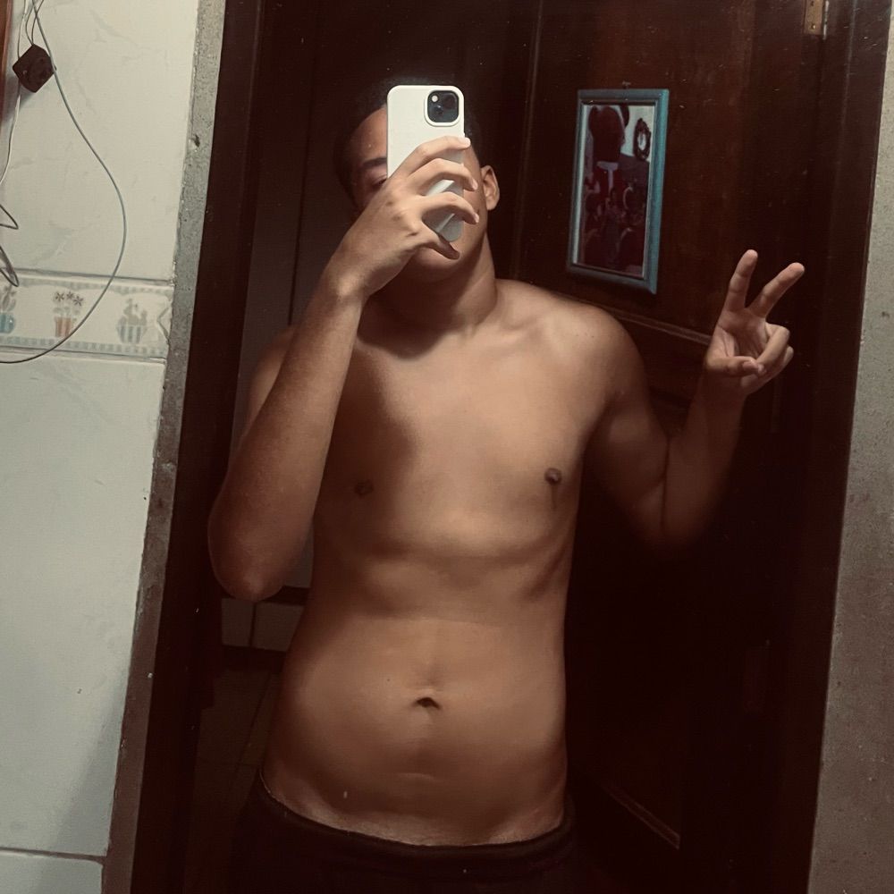 🐻
