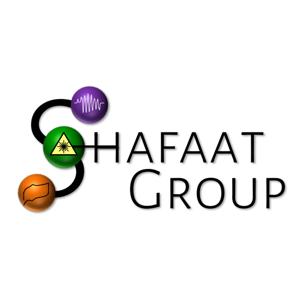 H.S. Shafaat