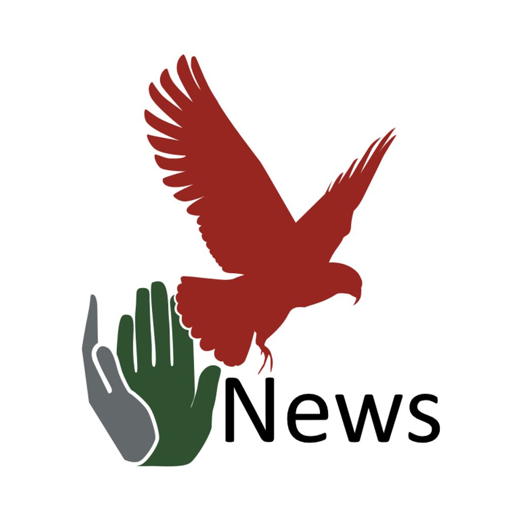 Civil liberties newsfeed (NZ)