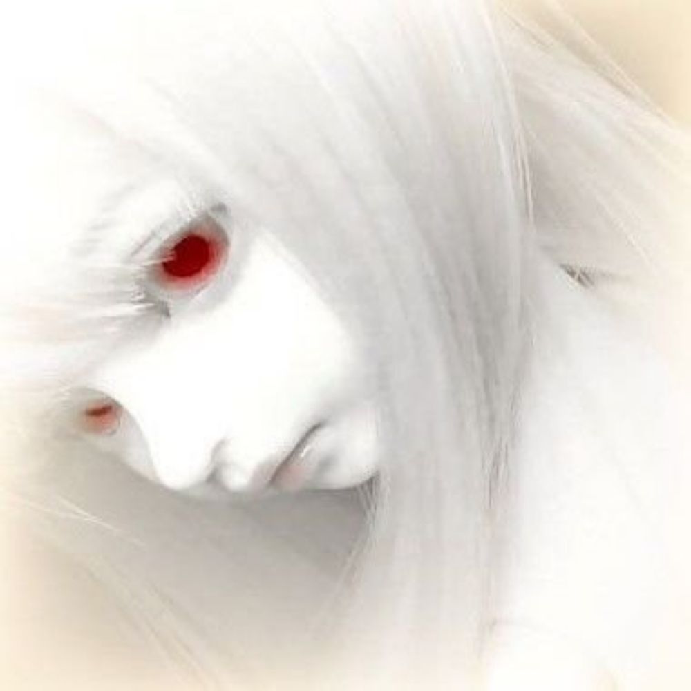 Profile picture ghosttdoll.bsky.social