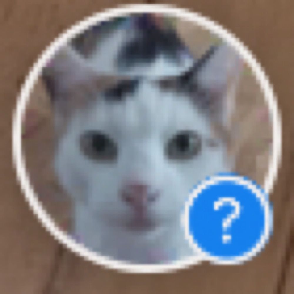 CatMann