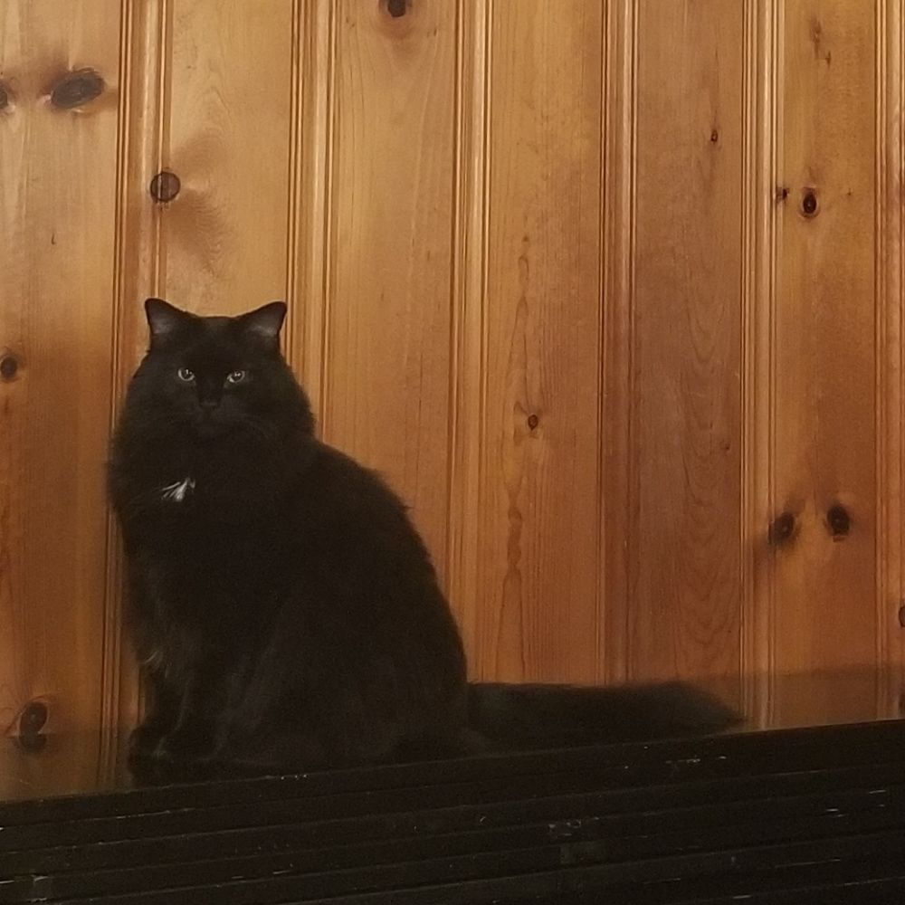 Eli