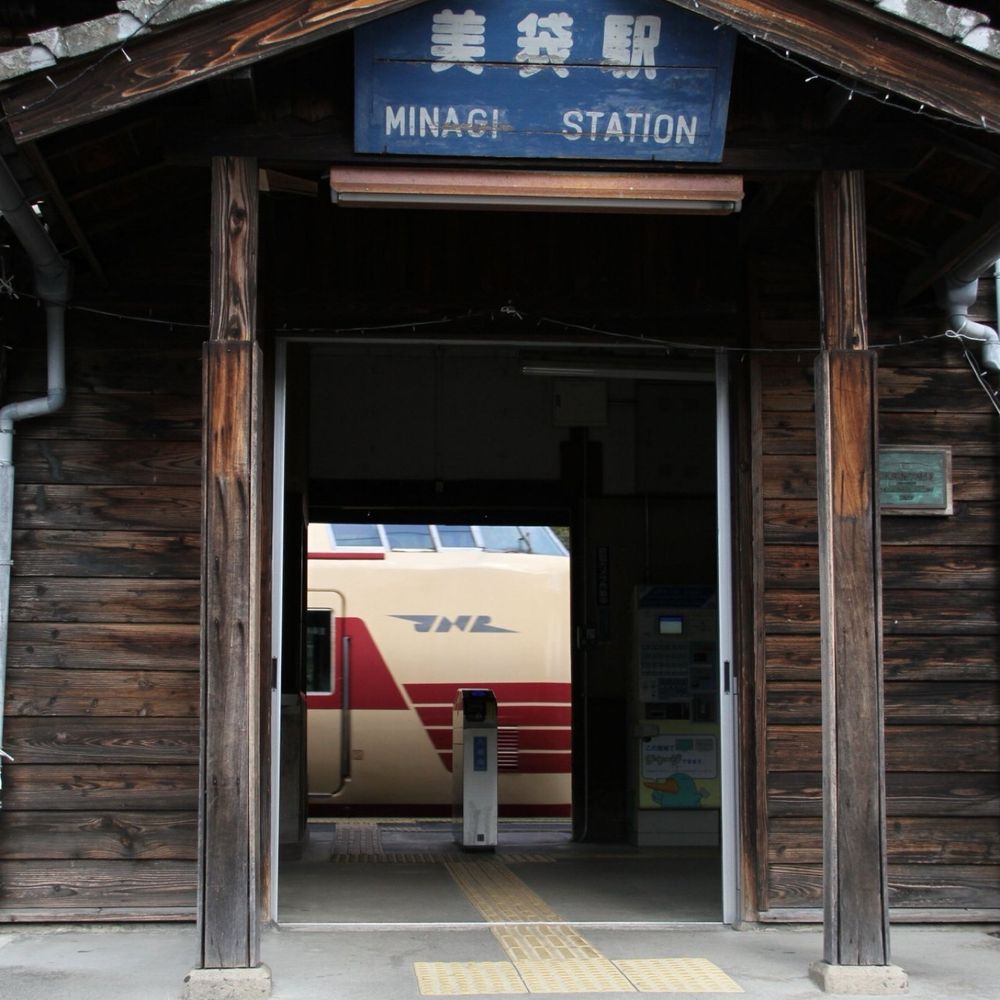 枝