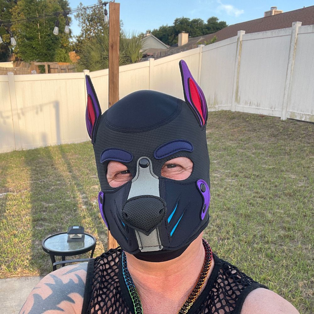 Pup Twigz