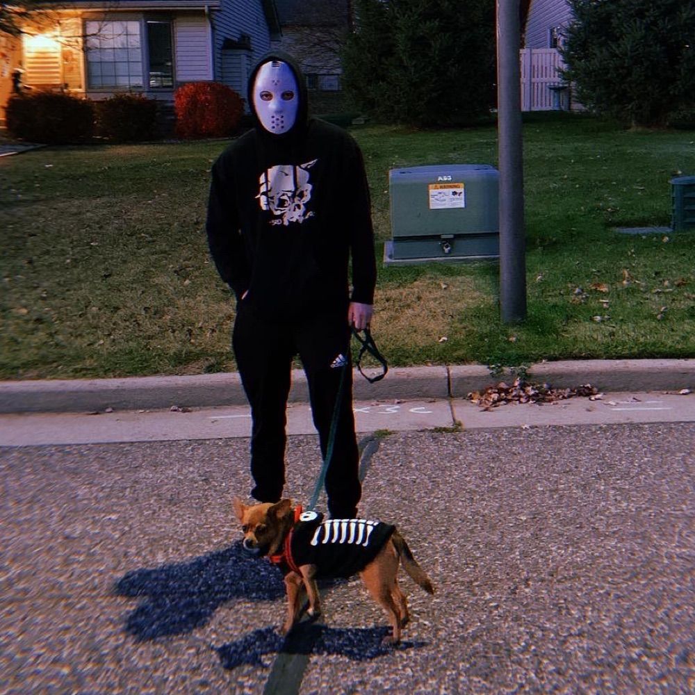 ollie 