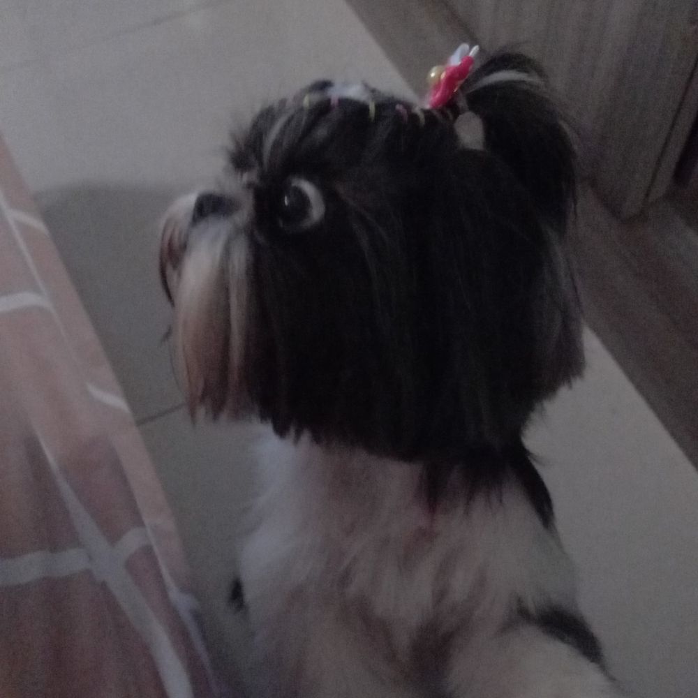 Malux