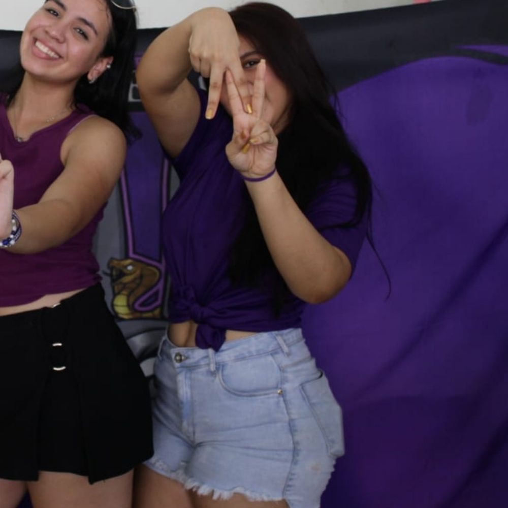 Pinguimdoamor