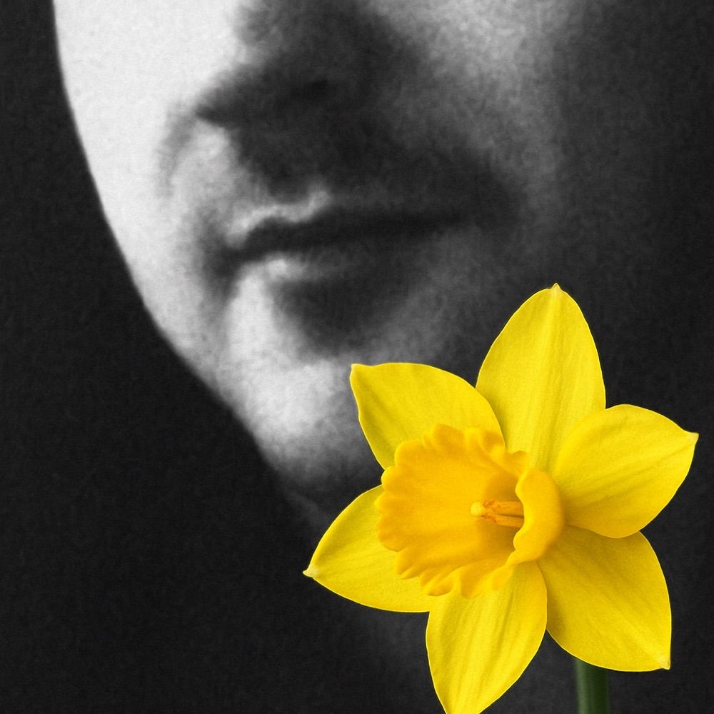 Piotr Marczakowski
