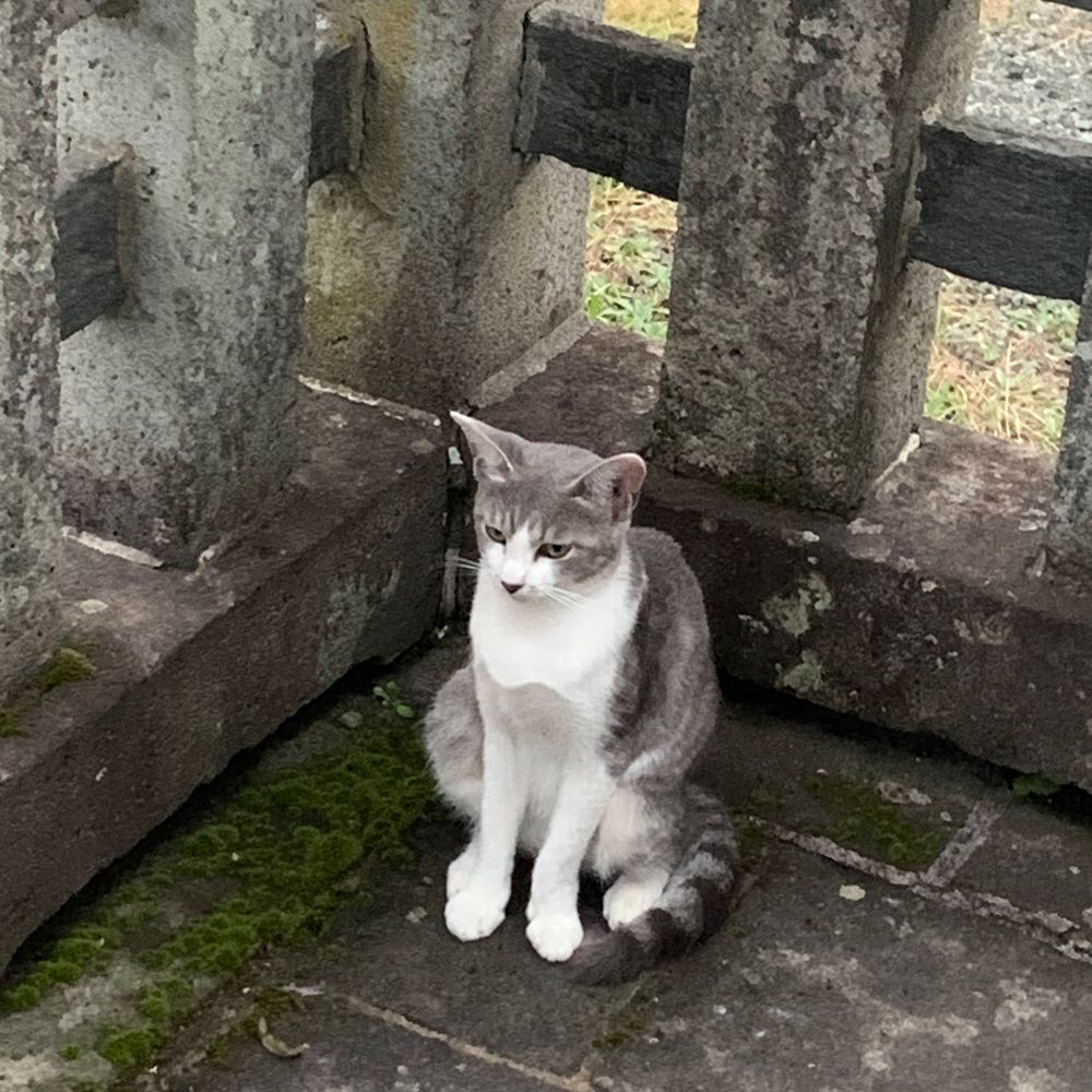 むろやねい