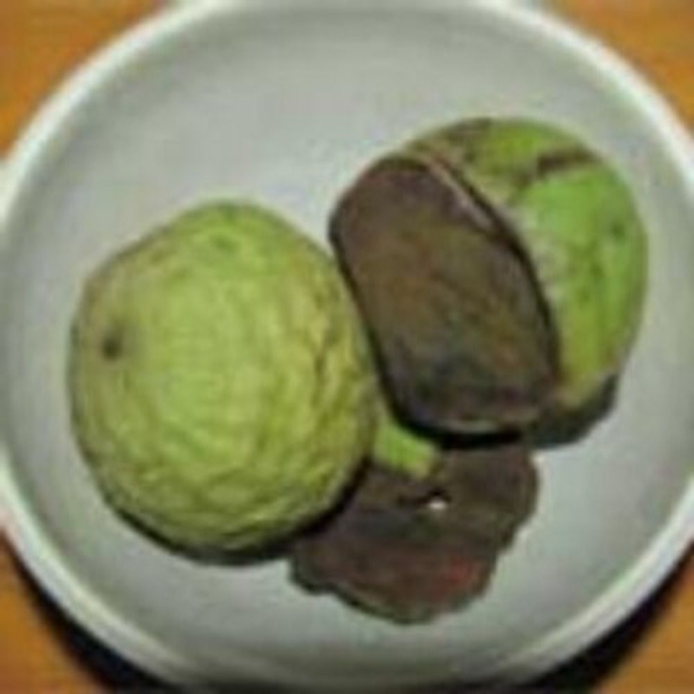 Walnut Hulls