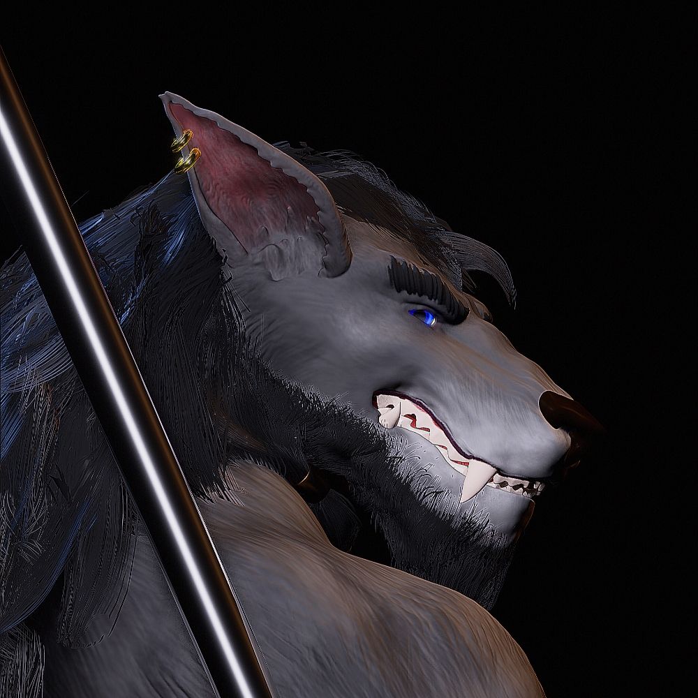 Naga the gray wolf