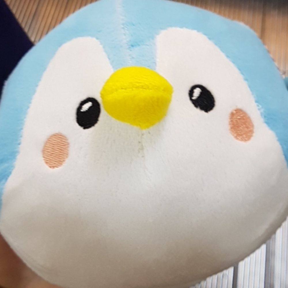 마슈다