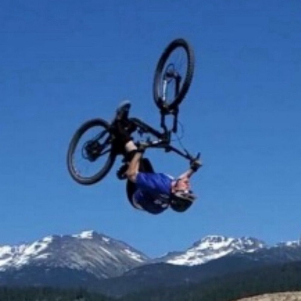 Steeze