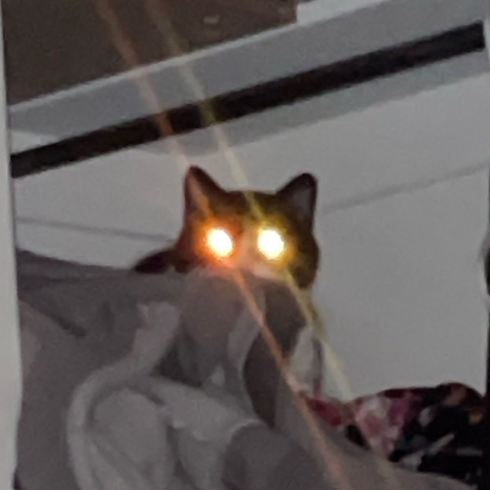 RAT