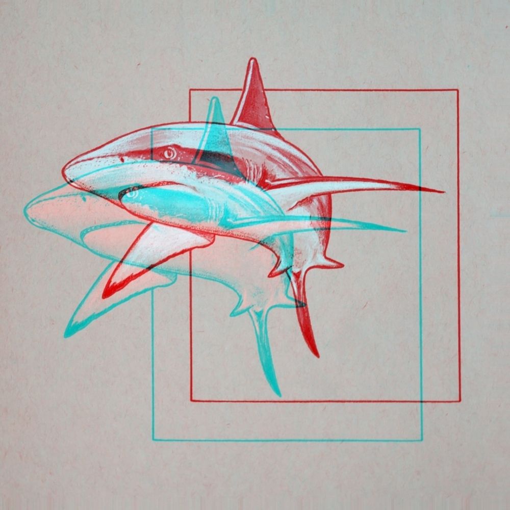 Sarcastic Shark Art