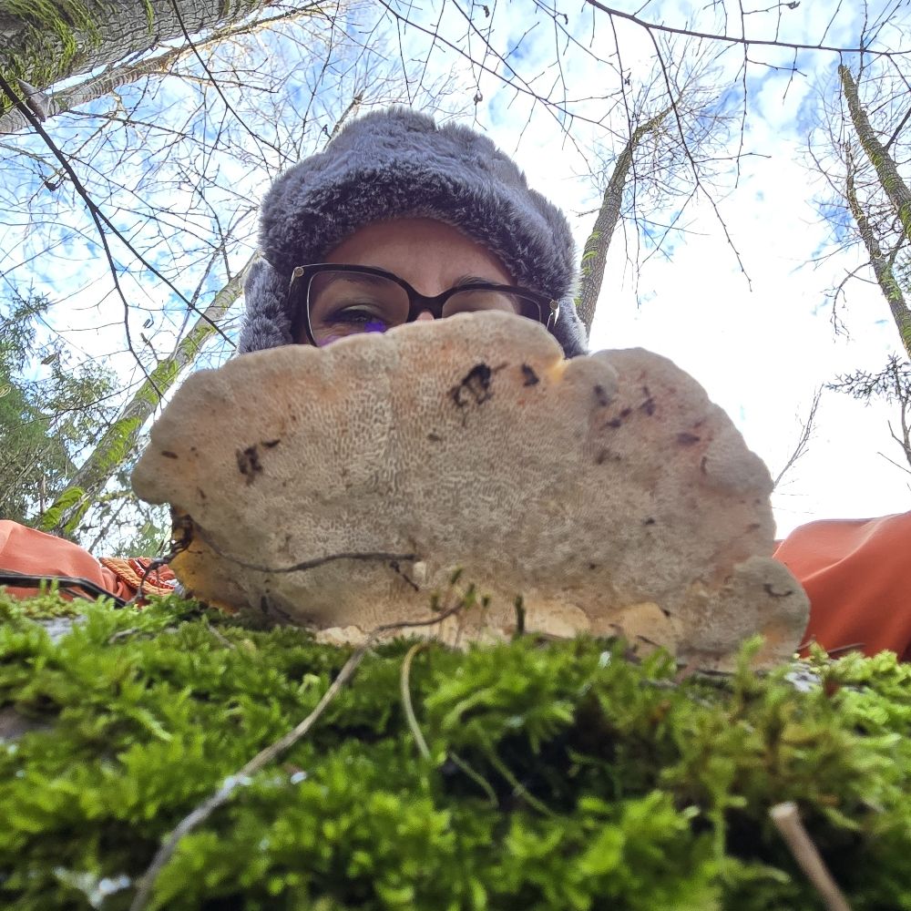 Amandanita Muscaria 🍄