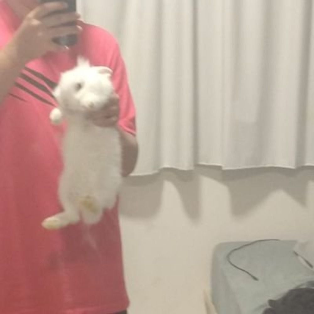 pablo