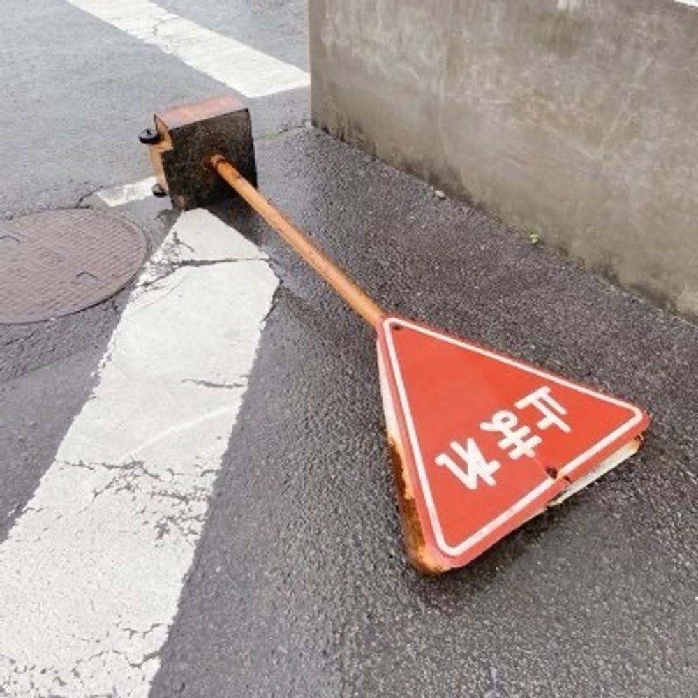 ぐみ公