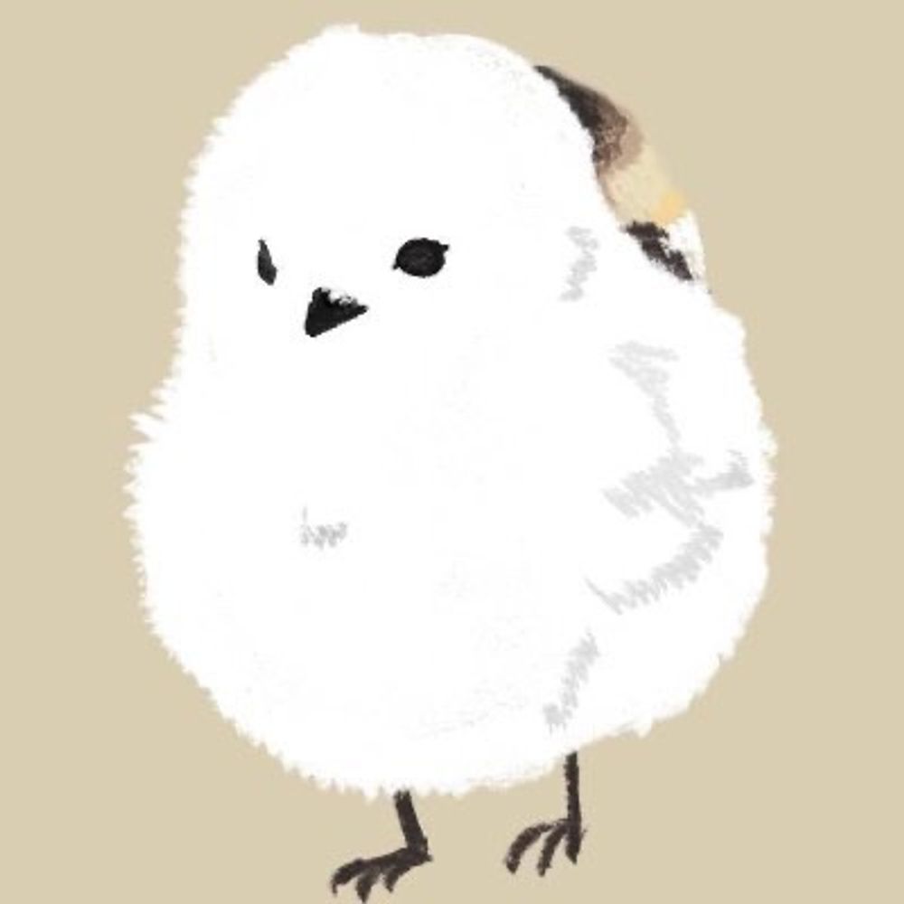 베를린의 오목눈이
