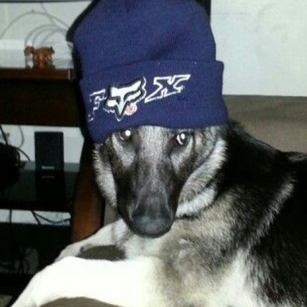 ViK