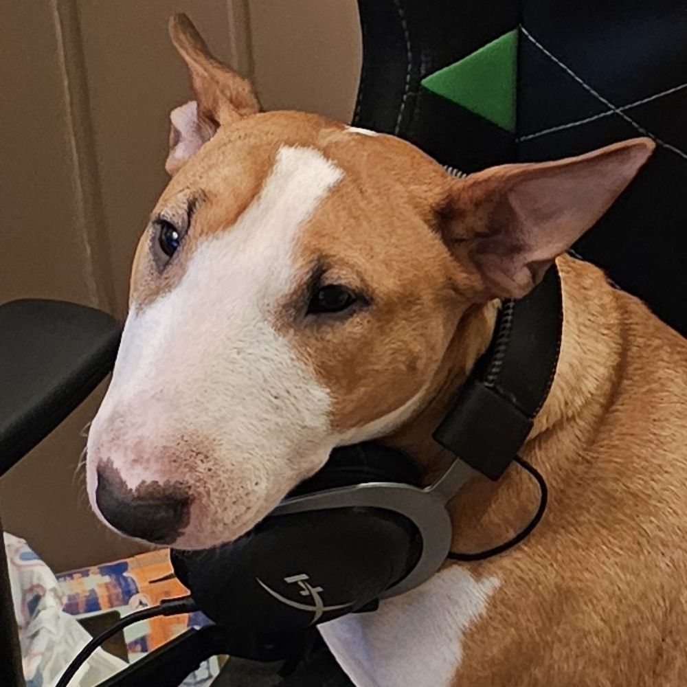 Kreshnik, Player of Games