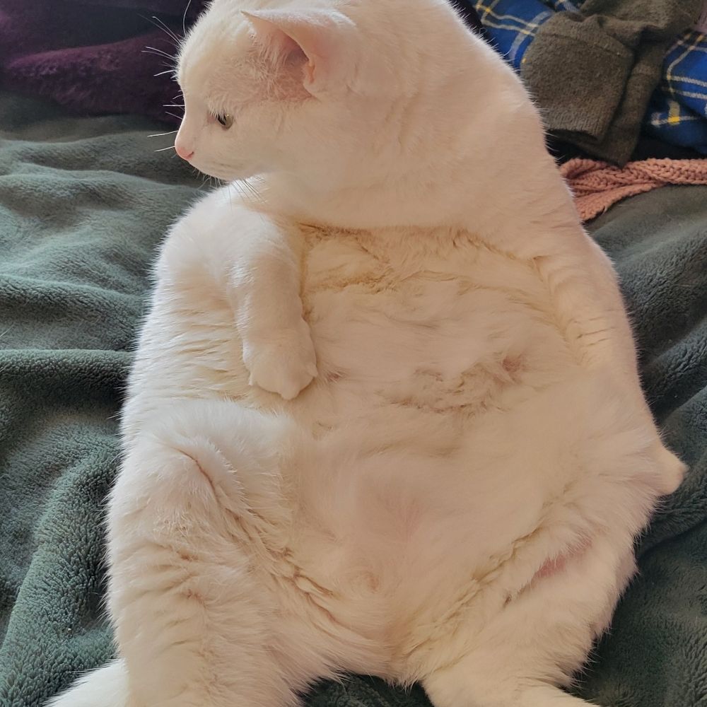 sophie