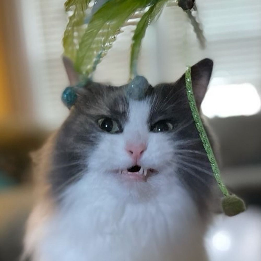Susan