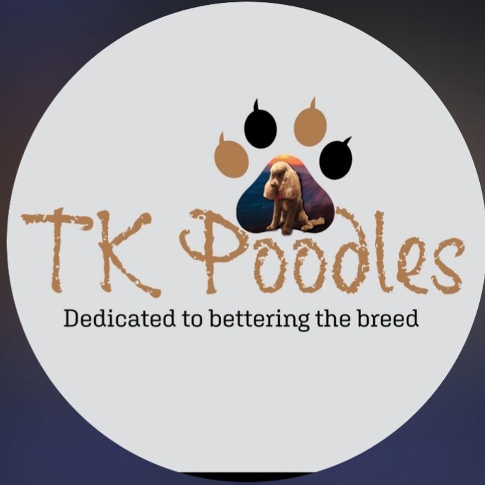 Tk Poodles
