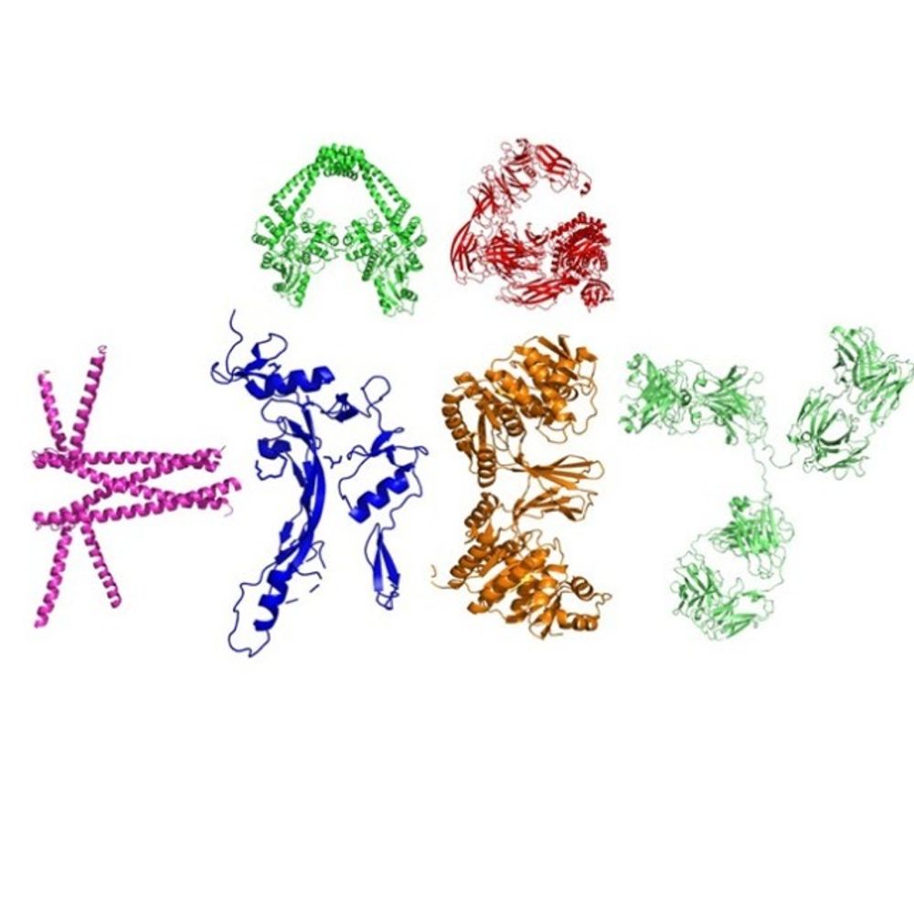 Kreylab
