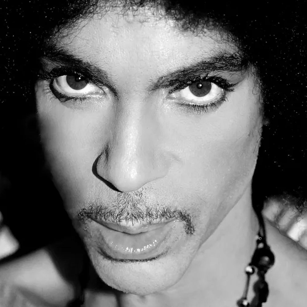 In Honor Of Prince Rogers Nelson 
