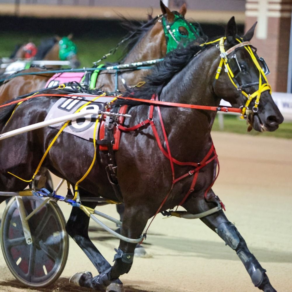 Harness Racing Minnesota