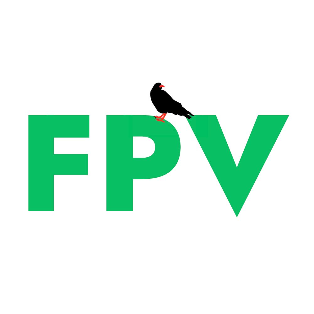 Flintshire People's Voice