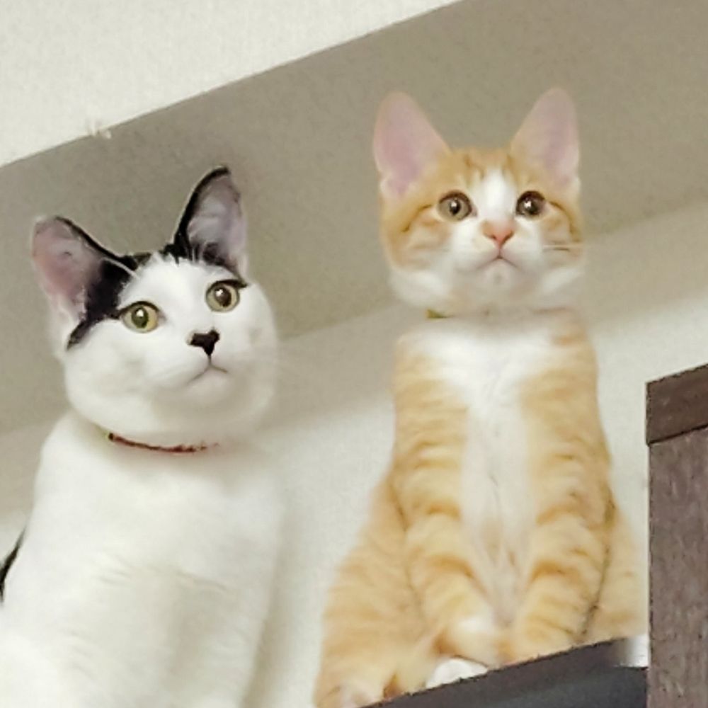 縁と蜜