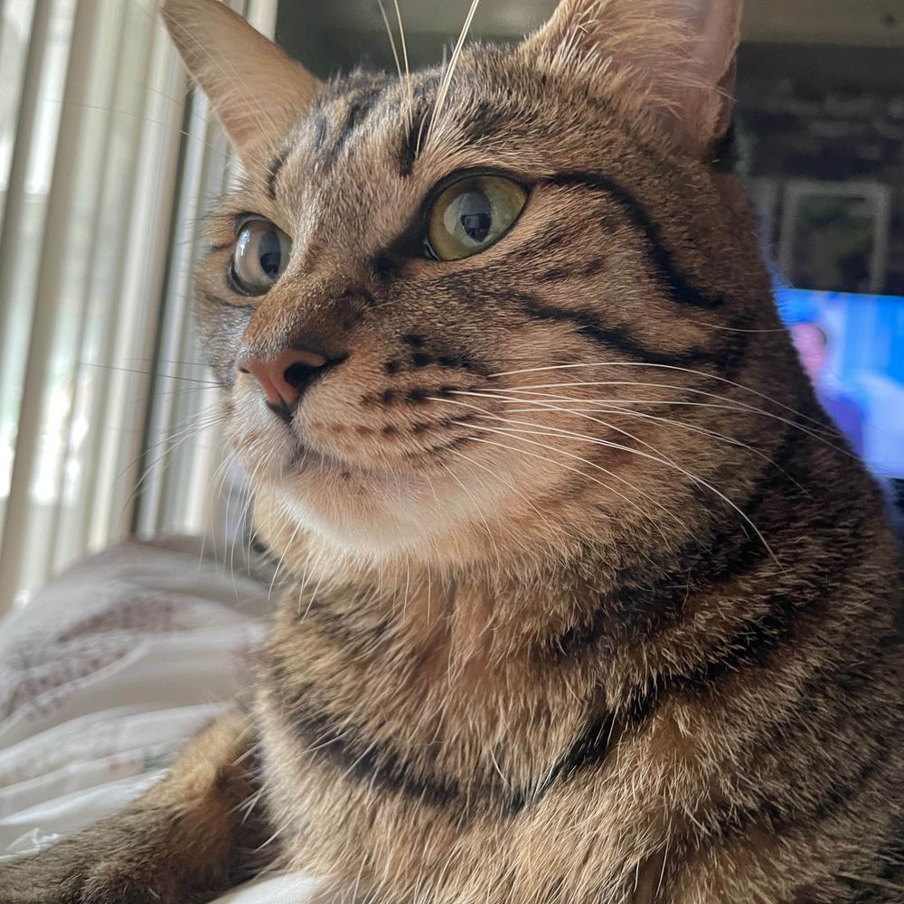Tina