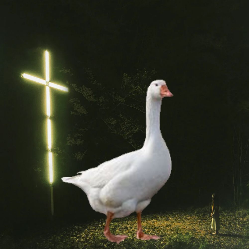 Jesu