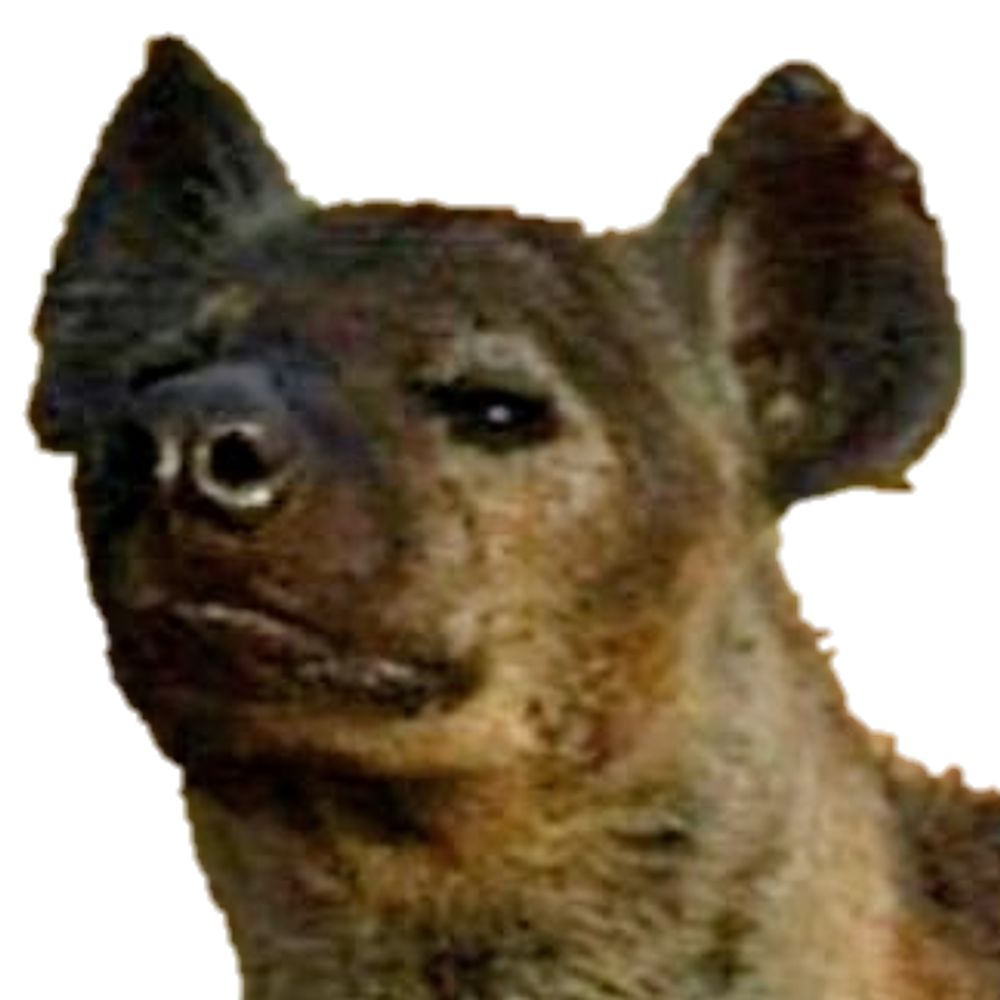 petal.yeen.town.ap.brid.gy