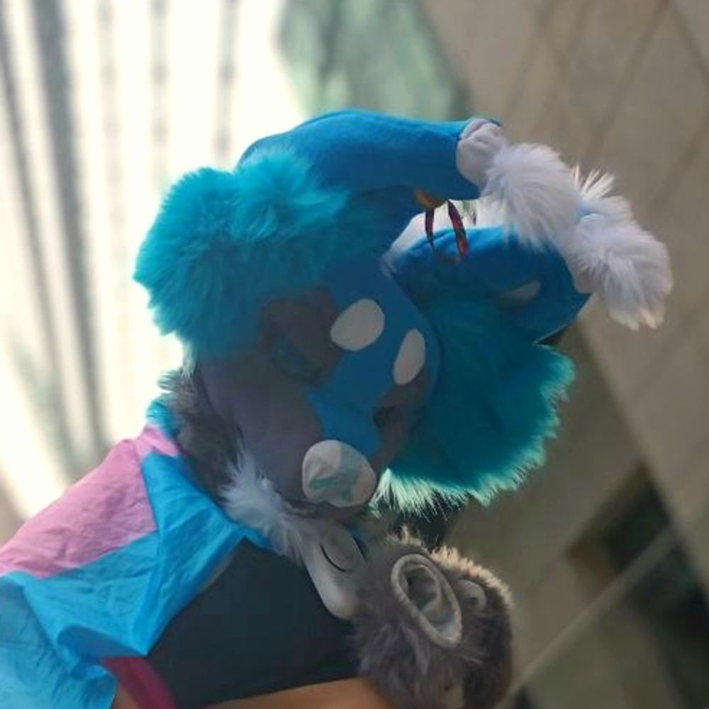 ⚡ ❄️BlizzyWolf ❄️⚡