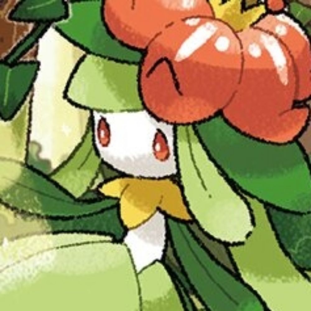 🥭Mango🥭