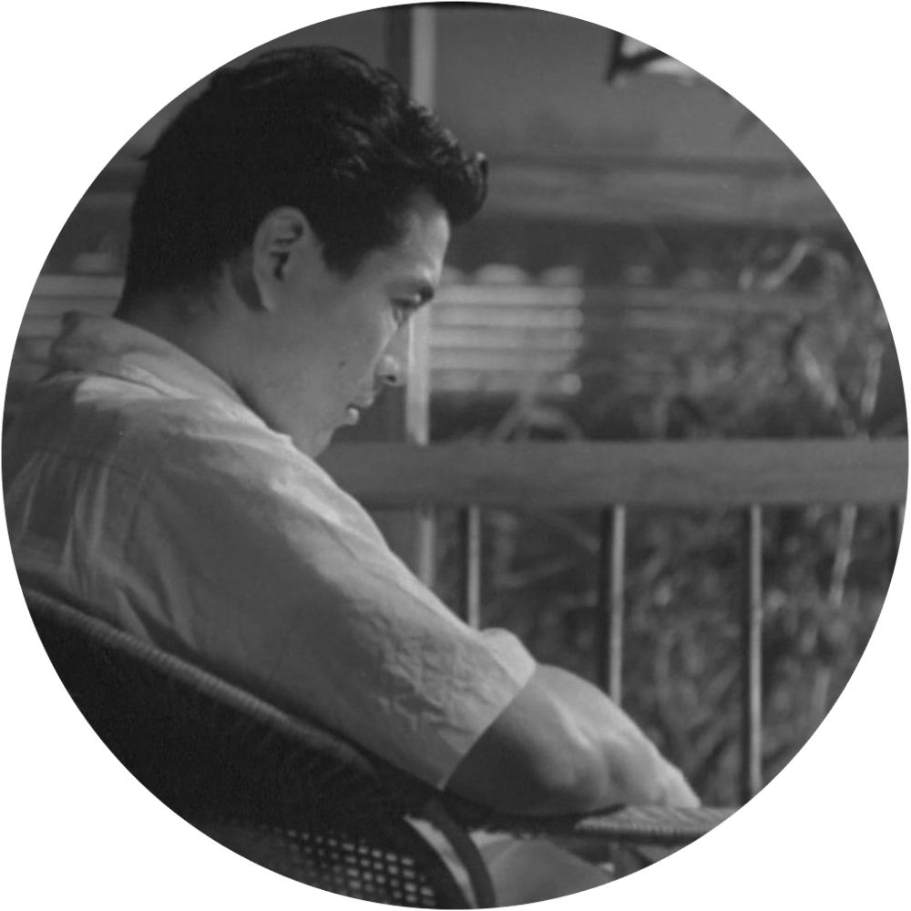 stressed depressed and mifune obsessed
