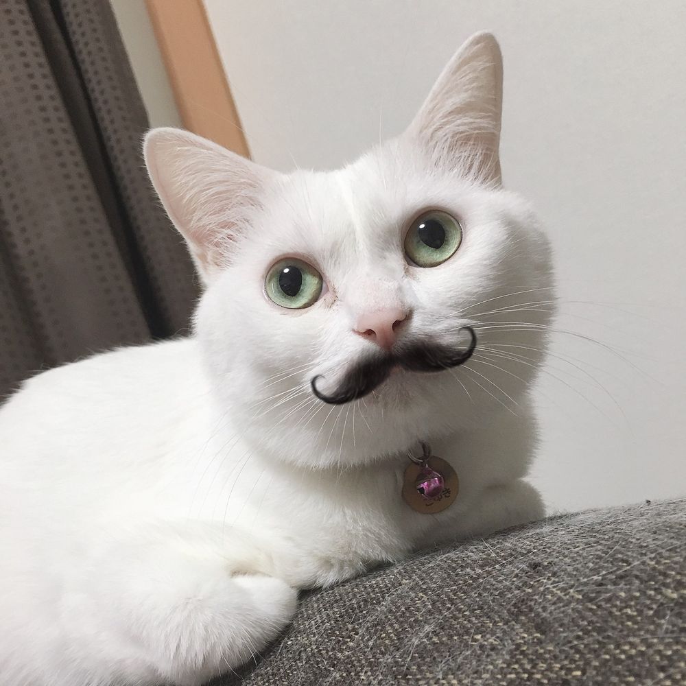 まるる