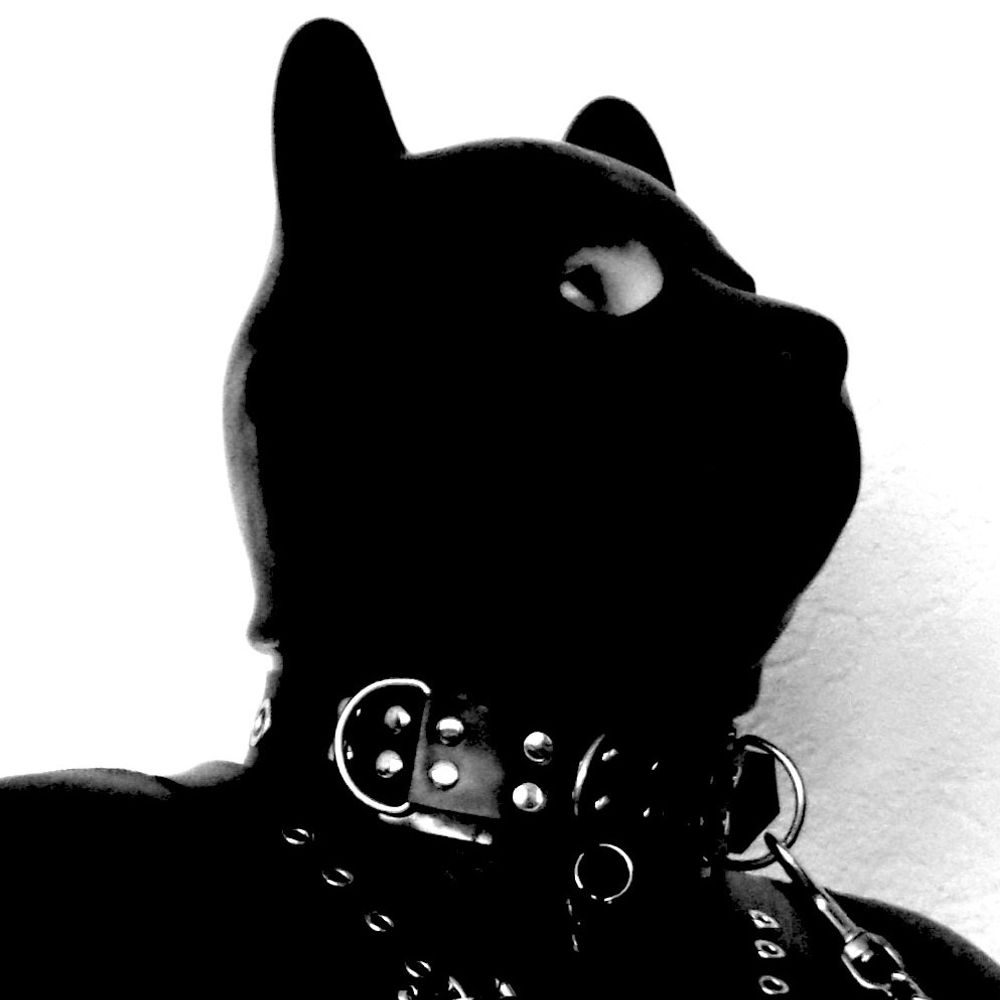 Rubber Puppy