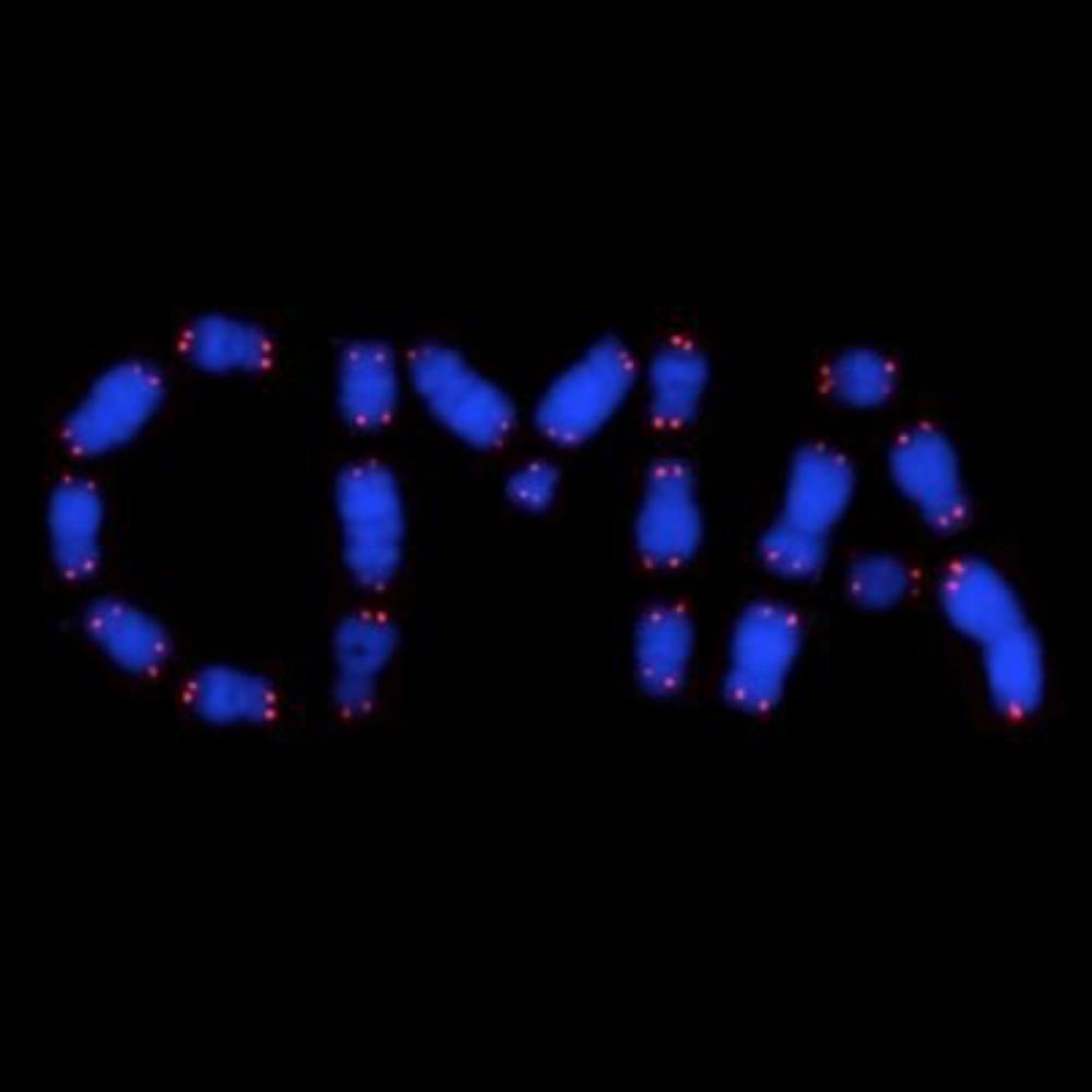 CMAzzalin Lab