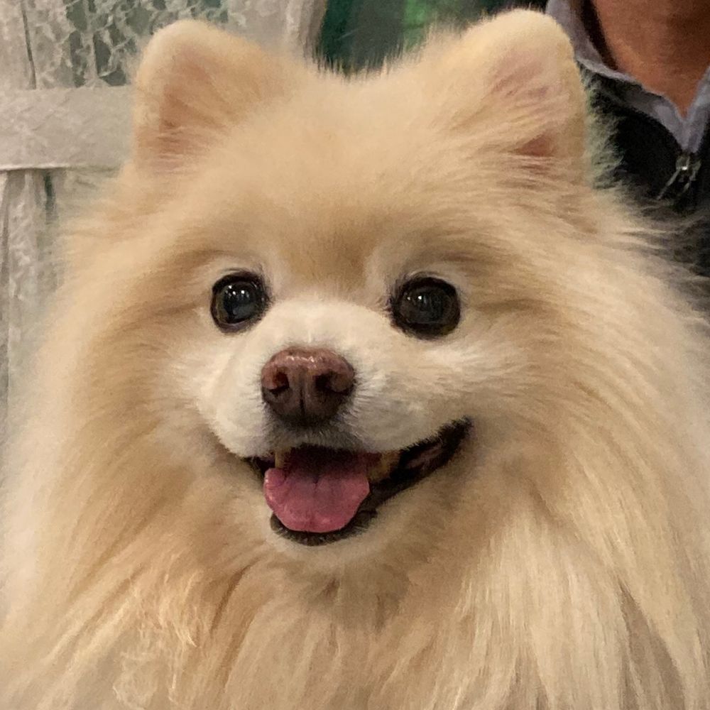 kon2