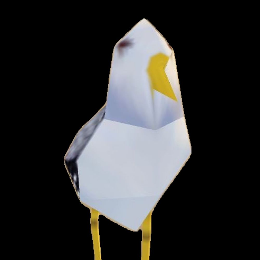 susnugsandtoes.bsky.social profile picture