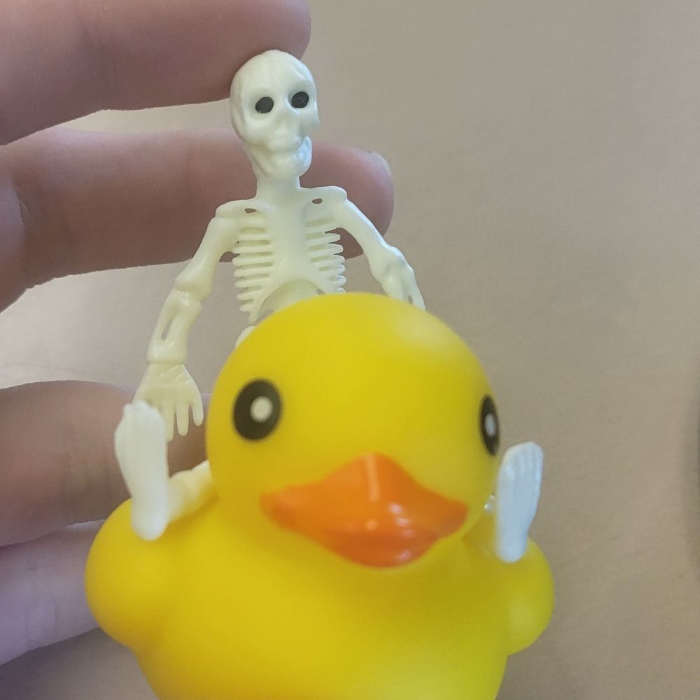 Ducky