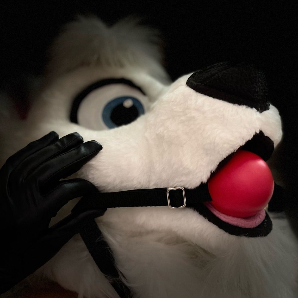 Bound Paws 🔜 DenFur/FW/MFF