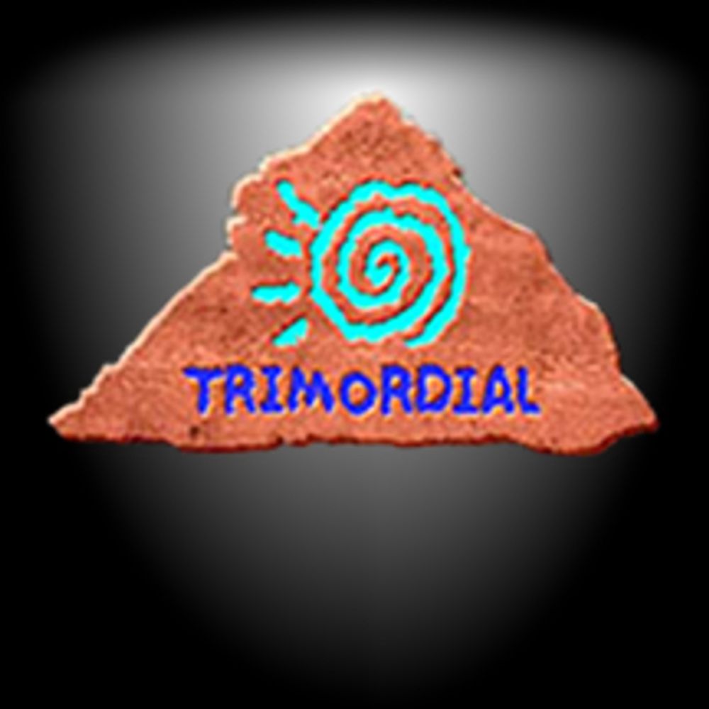 Trimordial Studio Las Vegas