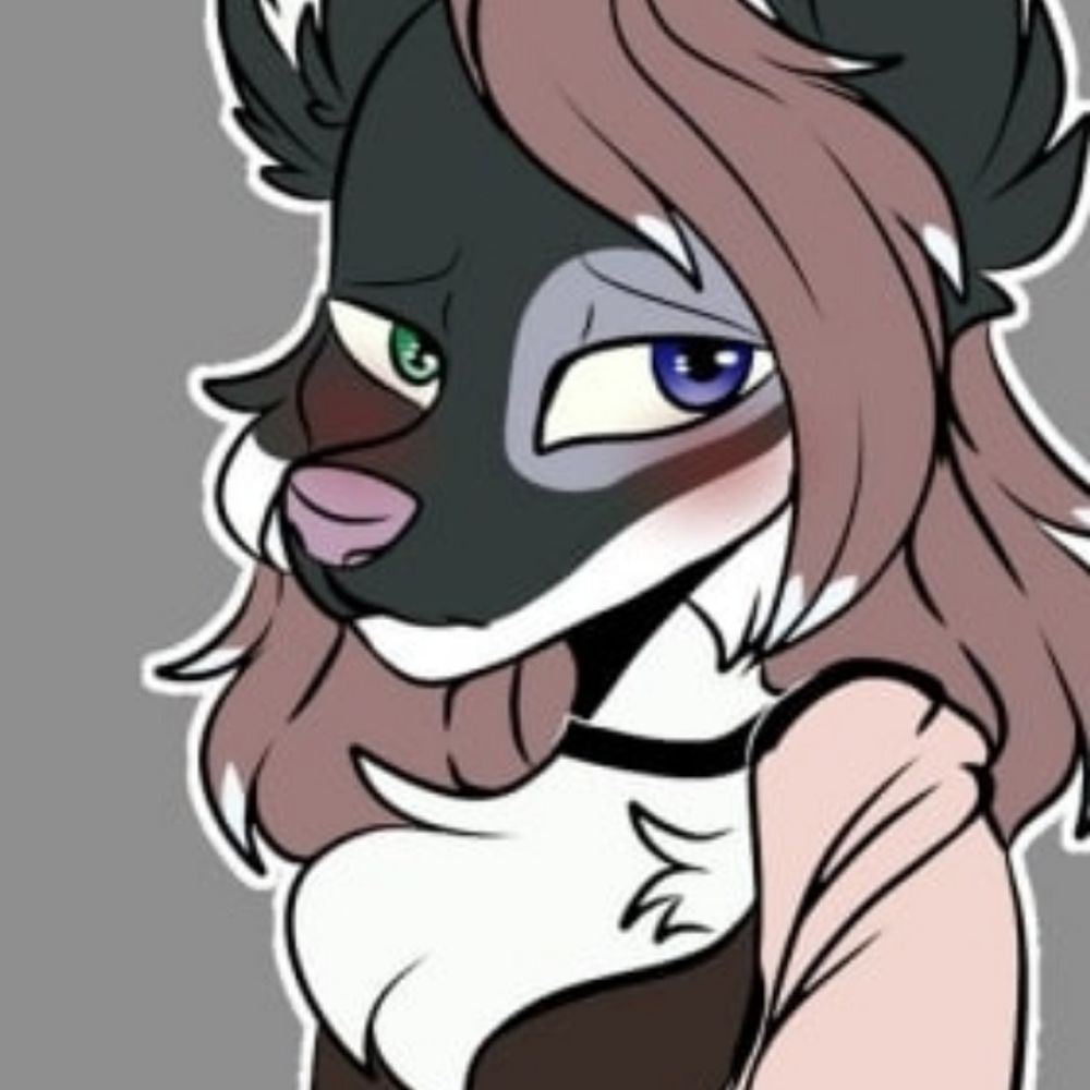 Coal da husky