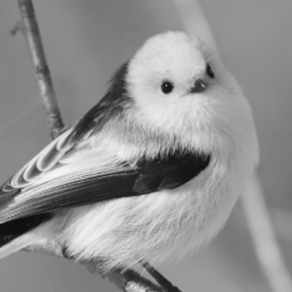 うみの　さち